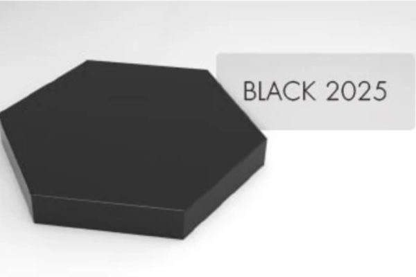 black-2025-600x400